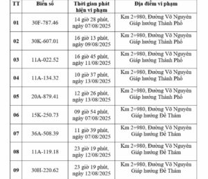 9 phương tiện vi phạm tốc độ tại Cao Bằng