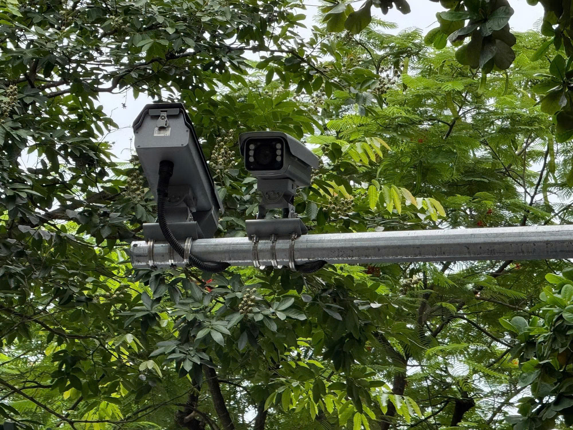 Camera AI tại Hà Nội phát huy hiệu quả trong xử lý vi phạm trật tự đô thị và giao thông